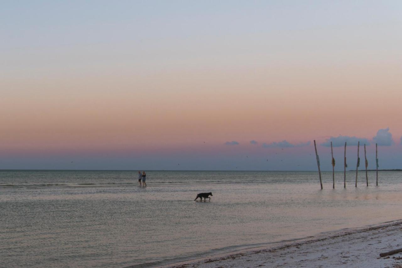 Blue Holbox 호텔 외부 사진